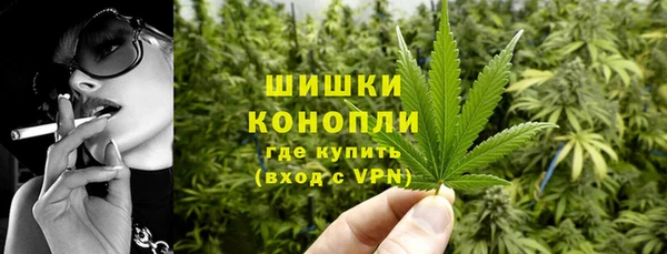 тгк Иннополис